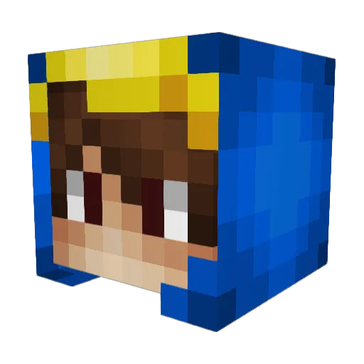 fowlesfun Minecraft avatar head, 3D render