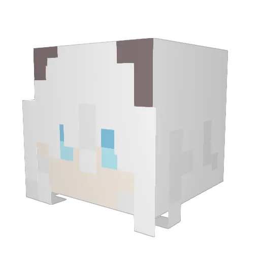 fox11451 Minecraft avatar head, 3D render