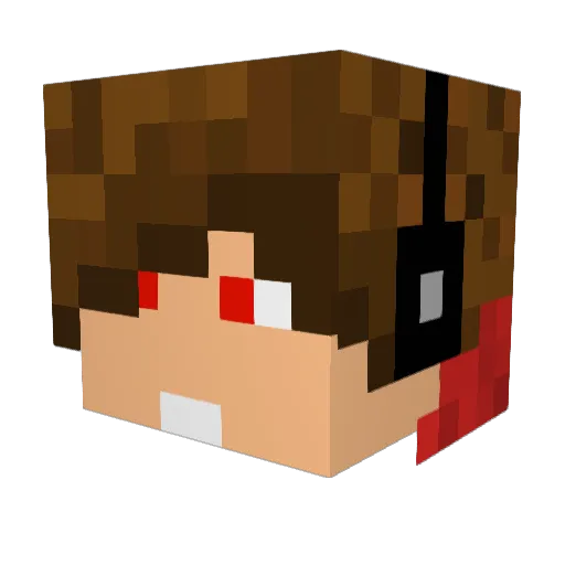 fox54385 Minecraft avatar head, 3D render
