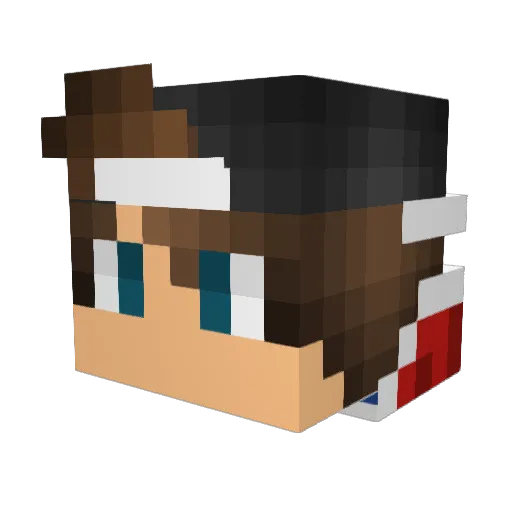 fox67 Minecraft avatar head, 3D render