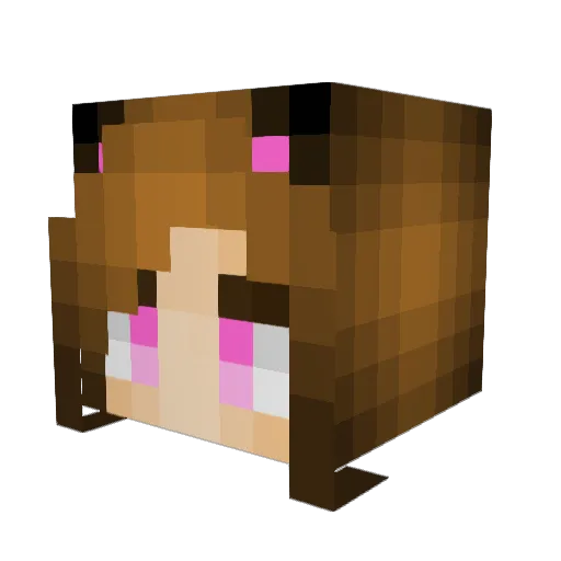 fox_artist Minecraft avatar head, 3D render