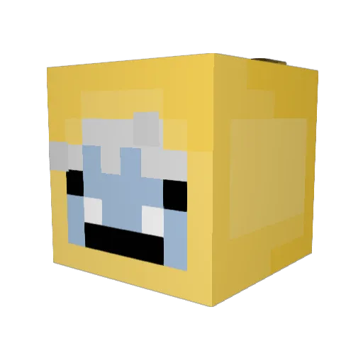 fox_likes_fruit Minecraft avatar head, 3D render