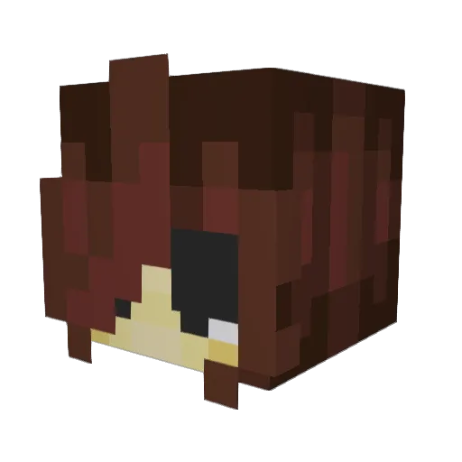 foxblogger Minecraft avatar head, 3D render