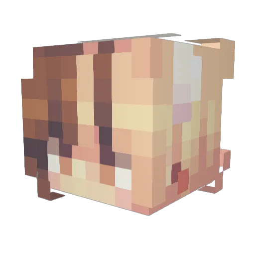 foxerjen Minecraft avatar head, 3D render