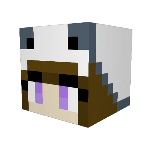 foxestheKITYEH Minecraft avatar head, 3D render