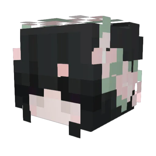 foxexcove12 Minecraft avatar head, 3D render