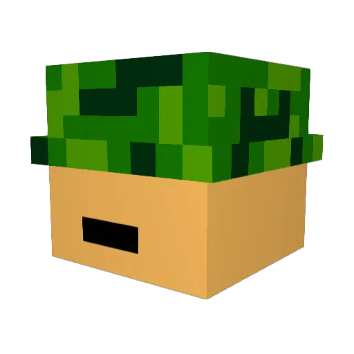 foxey456 Minecraft avatar head, 3D render