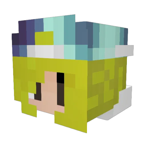 foxfocus65 Minecraft avatar head, 3D render