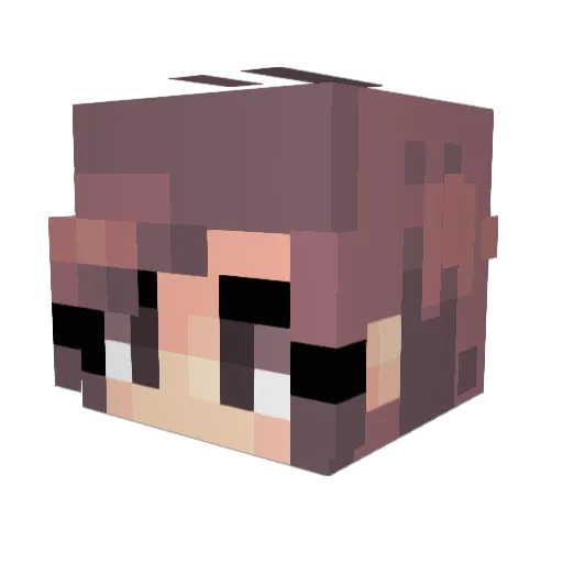 foxgamer2000 Minecraft avatar head, 3D render