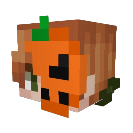 foxguy Minecraft avatar head, 3D render