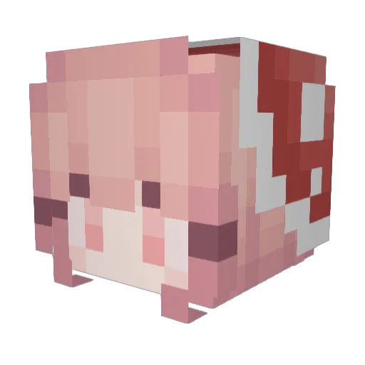 foxhasdyslexia Minecraft avatar head, 3D render