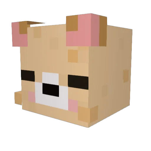 foxiny0325 Minecraft avatar head, 3D render