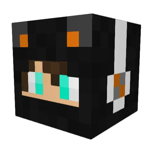 foxkid29 Minecraft avatar head, 3D render