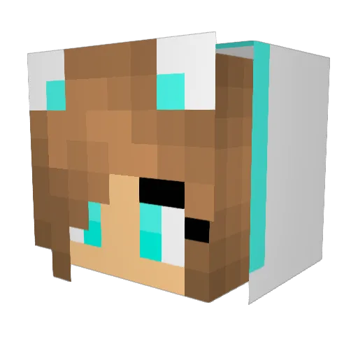 foxlady2005 Minecraft avatar head, 3D render