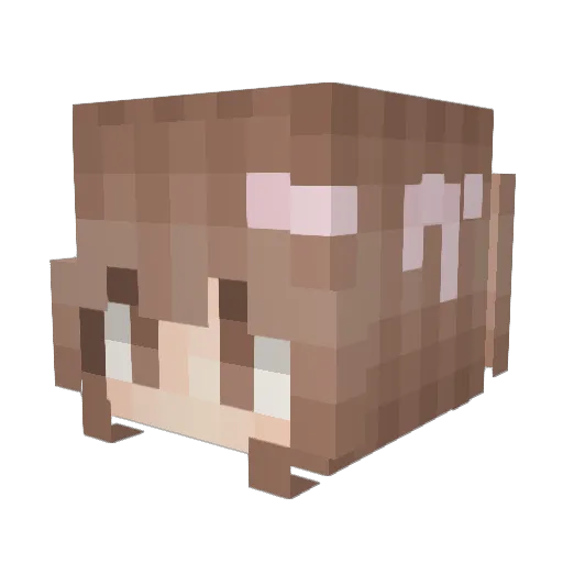 foxneww Minecraft avatar head, 3D render