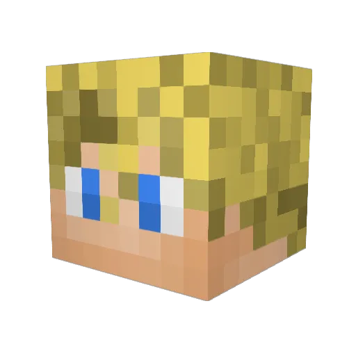 foxo1236 Minecraft avatar head, 3D render