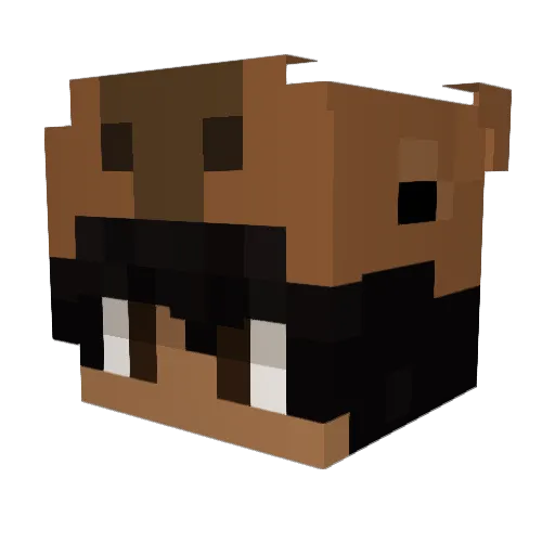 foxo1_ Minecraft avatar head, 3D render