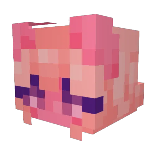 foxolotl64 Minecraft avatar head, 3D render