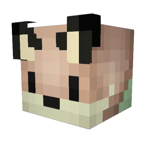 foxy2171 Minecraft avatar head, 3D render