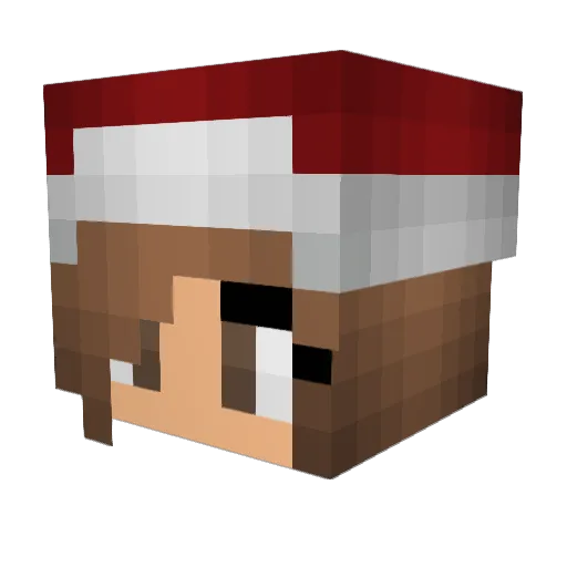 foxy87 Minecraft avatar head, 3D render