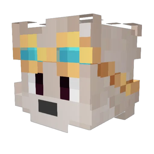 foxyan_ Minecraft avatar head, 3D render