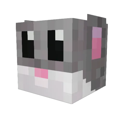 foxyman17 Minecraft avatar head, 3D render