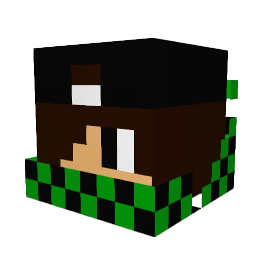 foxyplaysgames3 Minecraft avatar head, 3D render