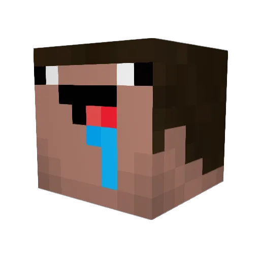 foxywp Minecraft avatar head, 3D render