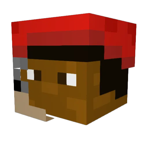 fpDo0800 Minecraft avatar head, 3D render