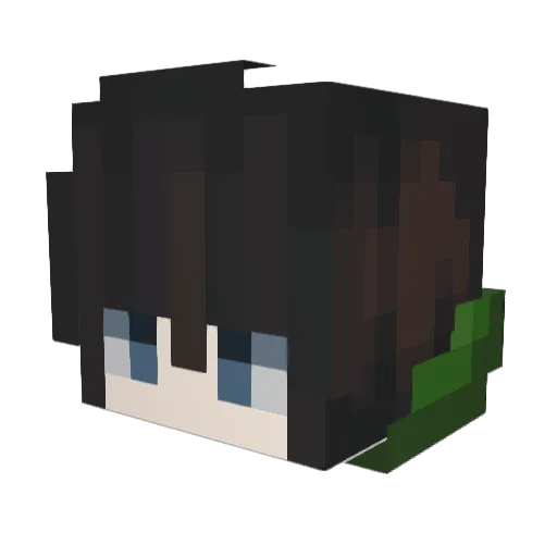 fpa Minecraft avatar head, 3D render