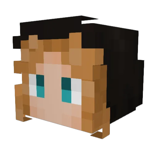 fpe_art Minecraft avatar head, 3D render