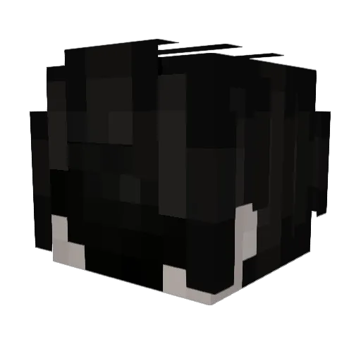 fpwitgor Minecraft avatar head, 3D render