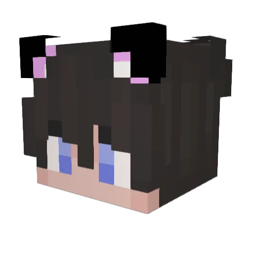 fqdg Minecraft avatar head, 3D render