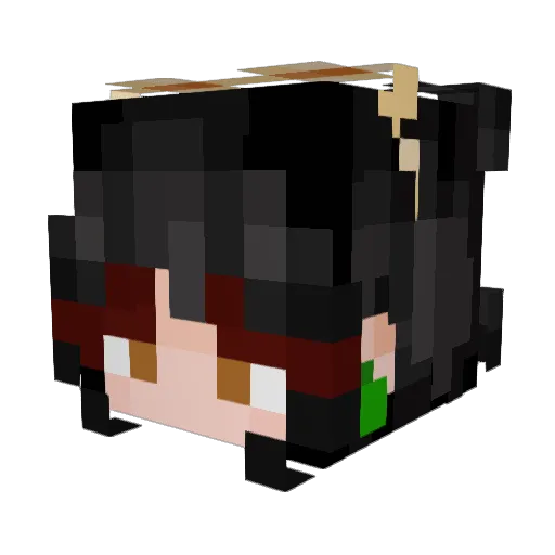fqithlessxo Minecraft avatar head, 3D render