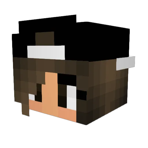 fqj Minecraft avatar head, 3D render