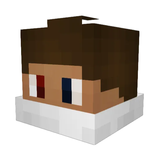 fql Minecraft avatar head, 3D render