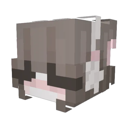 fqral Minecraft avatar head, 3D render