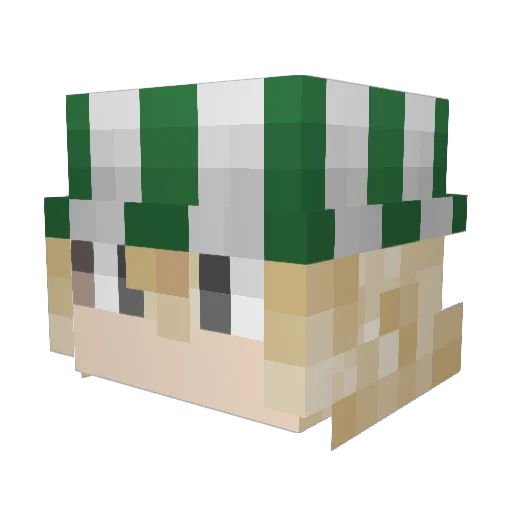 fqrwu Minecraft avatar head, 3D render