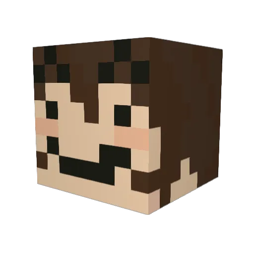 fr0gch1 Minecraft avatar head, 3D render