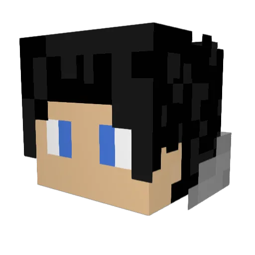 fr0jk0wski Minecraft avatar head, 3D render
