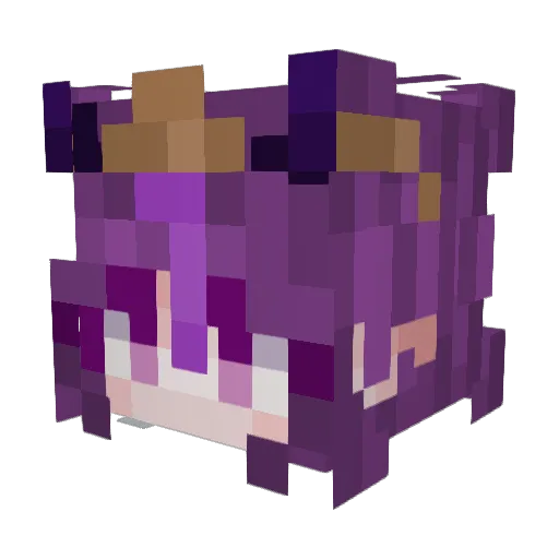 fr0ogles Minecraft avatar head, 3D render