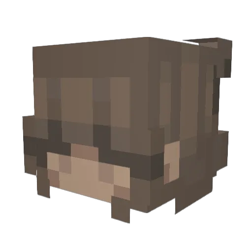 fr0wnie Minecraft avatar head, 3D render