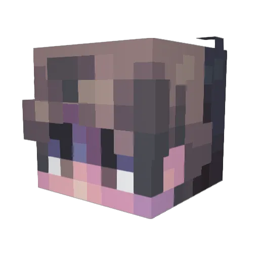 fr1ck1n Minecraft avatar head, 3D render