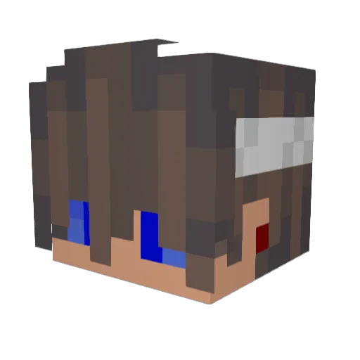 fr1z_01 Minecraft avatar head, 3D render