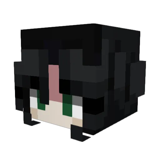 fr3dx44 Minecraft avatar head, 3D render