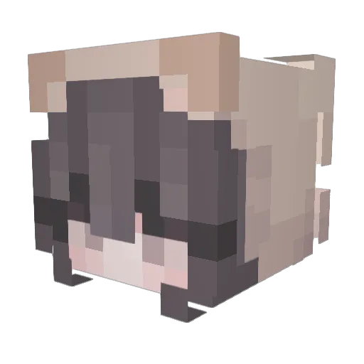 fr3jao7 Minecraft avatar head, 3D render