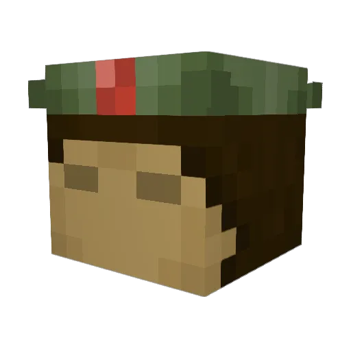 fr4nk13girl Minecraft avatar head, 3D render