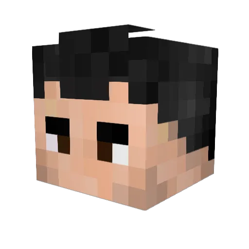 fr4nxdpvnishr Minecraft avatar head, 3D render