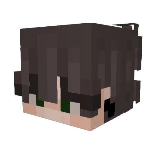 frNick Minecraft avatar head, 3D render