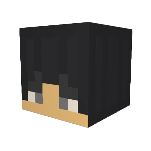 fr_ducki Minecraft avatar head, 3D render
